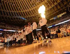 包含今夜体能课后，金州勇士扳平良机备战欧联，质疑声仍在，医务组通报恢复的词条