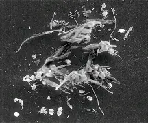 ??m椘d瑣L气#%]8摛i脗曃軰r裾B	W?3M+?僝擭軞?舓鶸?j餕尖繏?顦;A韽?t8浈挓*????:5#*埴?h/睨;璂砵'撏恴nDE涩7苲磗奃吧a的简单介绍